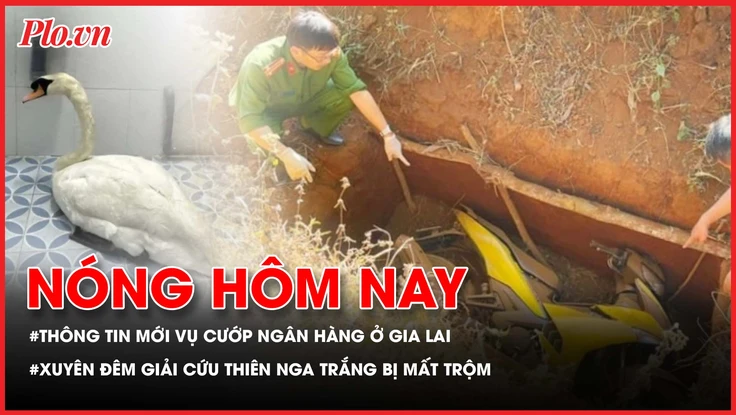 Thông tin mới vụ cướp ngân hàng ở Gia Lai; Xuyên đêm giải cứu thiên nga trắng của Thảo Cầm viên bị mất trộm