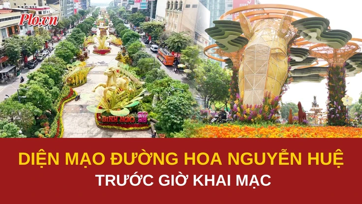 Diện mạo đường hoa Nguyễn Huệ trước giờ khai mạc