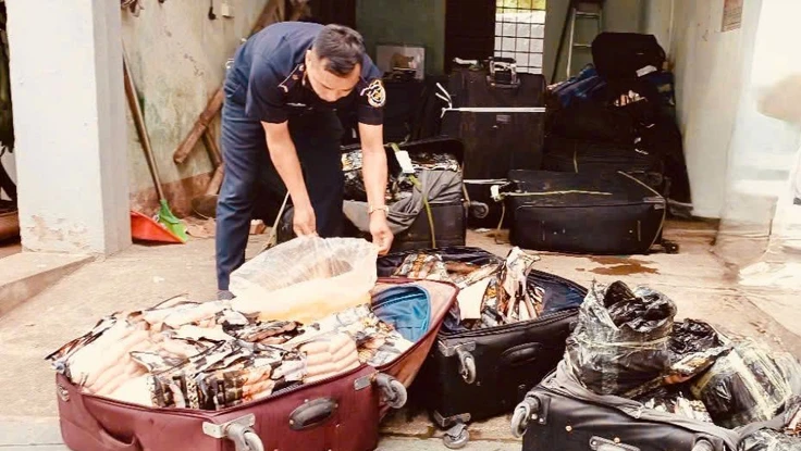 Hàng trăm kg xúc xích mốc, trứng thối suýt tuồn vào thị trường