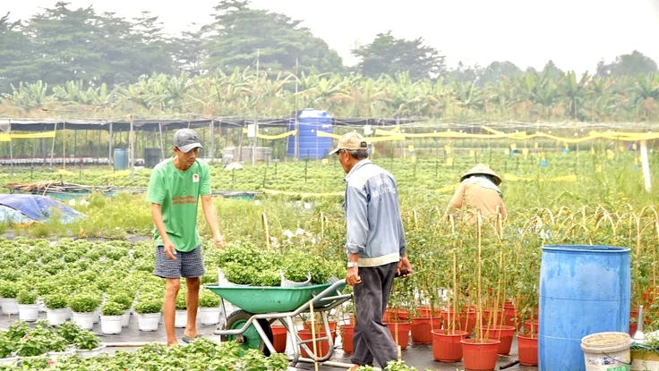 TP.HCM sẽ đào tạo 1.680 lao động nông thôn theo mô hình 'nông dân số'