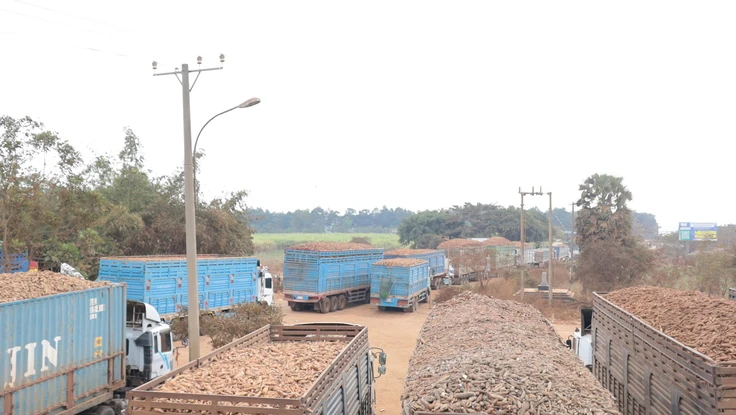 Nông sản Campuchia được “giải cứu” khi các cửa khẩu Tây Ninh được thông quan