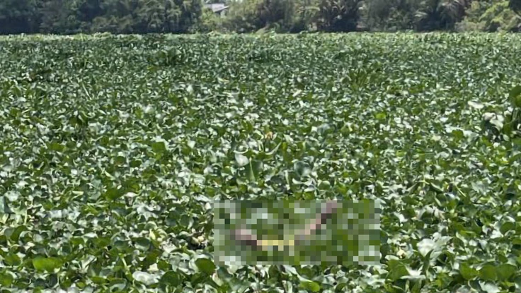 Tìm thấy thi thể 2 trẻ đuối nước tại bến phà trên sông Vàm Cỏ Tây