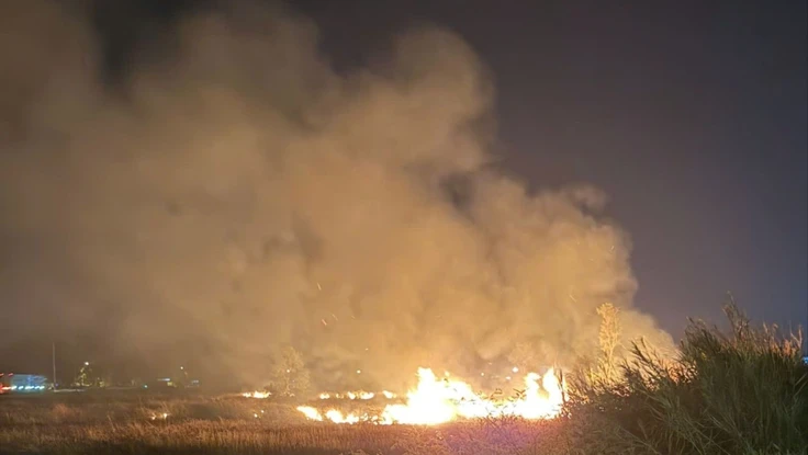 Bất cẩn vứt tàn thuốc, lửa thiêu rụi hàng ngàn mét vuông cỏ