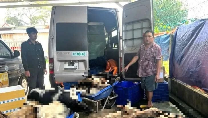 Bắt 9 nghi phạm chuyên trộm chó ở Tây Ninh đưa về TP.HCM tiêu thụ