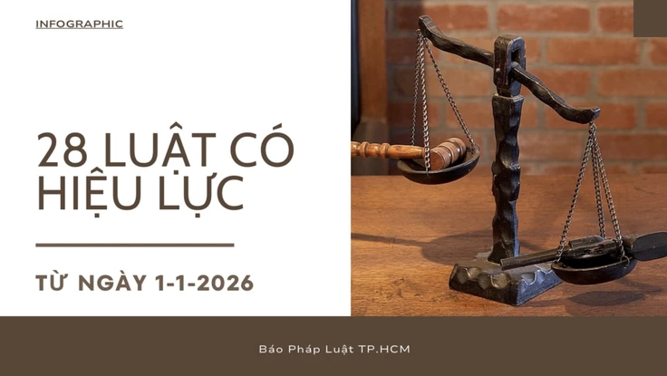 Infographic: Từ 1-1-2026, 28 luật chính thức đi vào cuộc sống