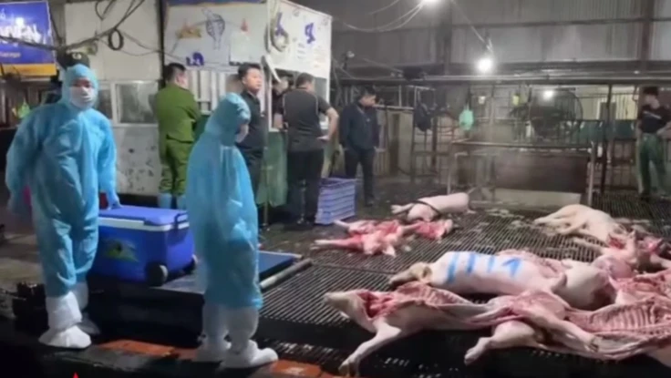 Vụ tuồn 300 tấn thịt heo bệnh vào thị trường: Đừng để đồng tiền làm nguy hại xã hội