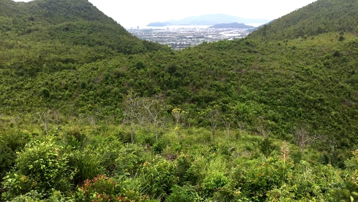 Chủ tịch UBND tỉnh Khánh Hòa: Phải thi hành 25 bản án hành chính còn tồn đọng trước ngày 31-3