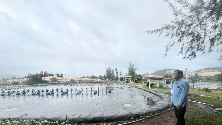 Vụ HĐXX án hình sự tuyên hủy giấy chứng nhận: TAND tỉnh Khánh Hòa tuyên sửa án