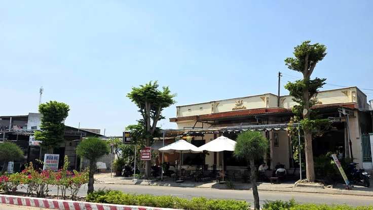 Xử lý vụ tỉa nhánh 'quá tay' khiến hàng cây xanh bị cắt trụi