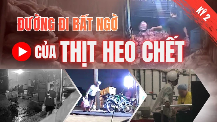 Điều tra: Thịt bẩn luồn lách đến bữa ăn - Kỳ 2: Heo chết được giao cho công ty suất ăn công nghiệp 