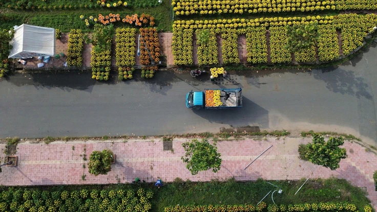 Vĩnh Long: Không yêu cầu giấy xác nhận khi vận chuyển hoa, kiểng dịp Tết