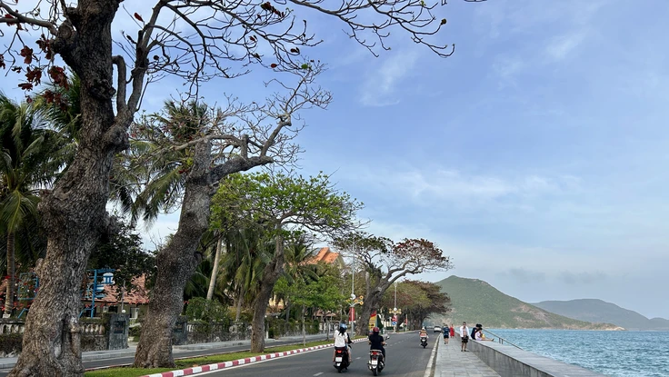 TP.HCM: Sắp có chính sách hỗ trợ học sinh, sinh viên Côn Đảo học tại đất liền