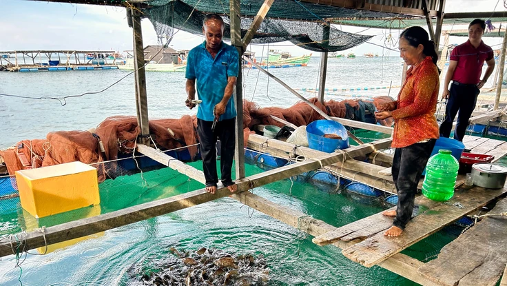 Nuôi cá lồng bè ở đảo Nam Du: Sinh kế giữa trùng khơi và đòn bẩy từ vốn tín dụng
