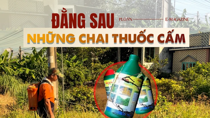 ĐIỀU TRA bài 3: Thuốc cấm được 'chuyển phát nhanh' đến đồng ruộng