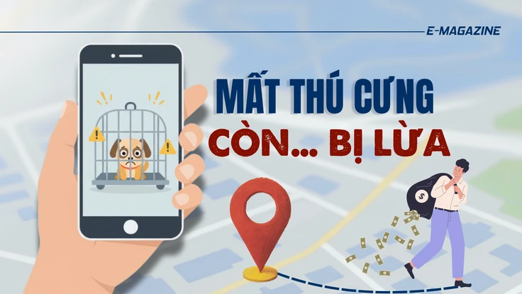 Thâm nhập đường dây 'mèo tặc' - Bài 4: Thủ đoạn lừa đảo chuộc chó, mèo 