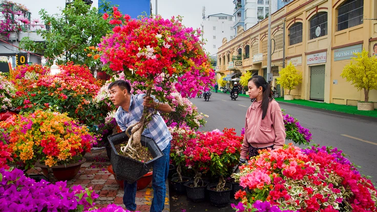 Nhìn lại hình ảnh rộn ràng chợ hoa xuân ‘Trên bến dưới thuyền’ Tết Bính Ngọ 2026