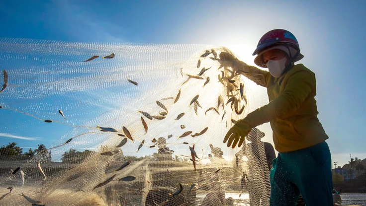 Săn 'lộc biển' đầu xuân ở TP.HCM
