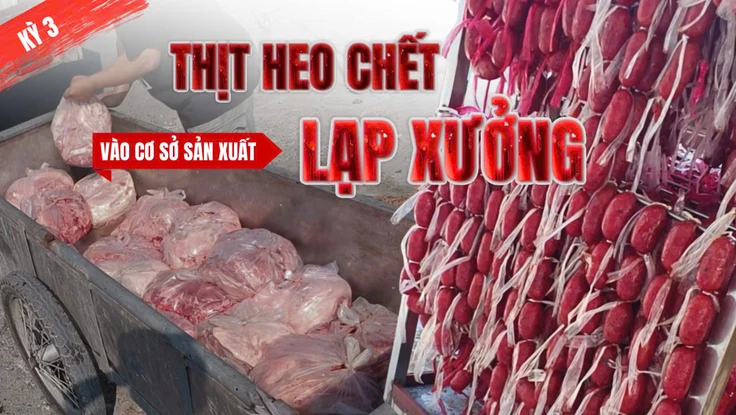 Điều tra: Thịt bẩn luồn lách đến bữa ăn - Kỳ 3: Từ bãi đất trống đến lò lạp xưởng