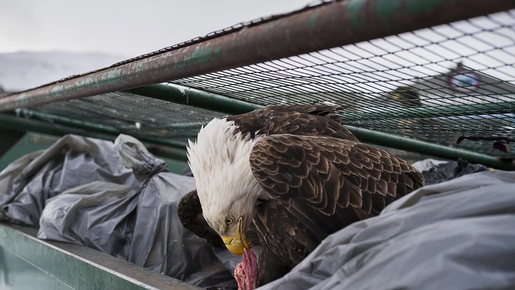 Triển lãm ảnh báo chí thế giới 