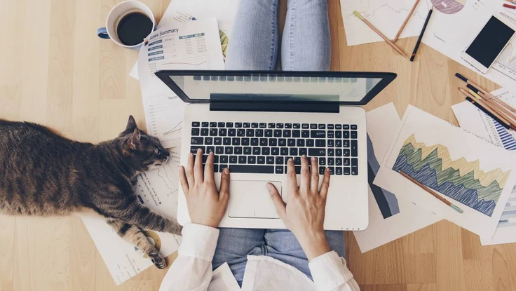 5 cách giúp bạn an toàn hơn khi hội họp trực tuyến tại nhà