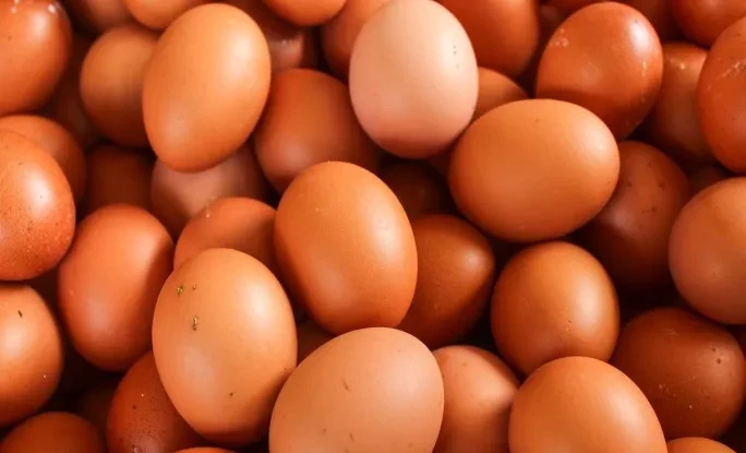 8 loại thực phẩm người trên 55 tuổi nên ăn mỗi ngày 