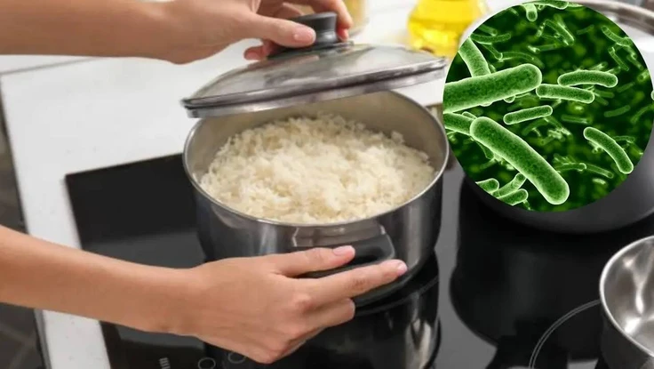 Đừng xem thường cơm nguội: Những sai lầm khi hâm nóng có thể gây hại sức khỏe