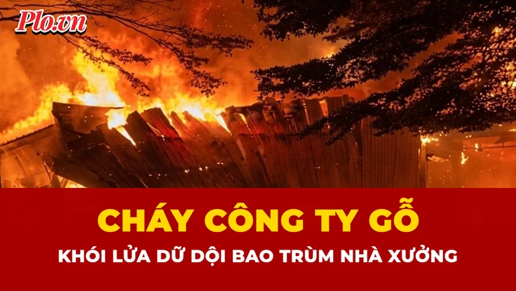 Hiện trường vụ cháy công ty gỗ tại TP.HCM