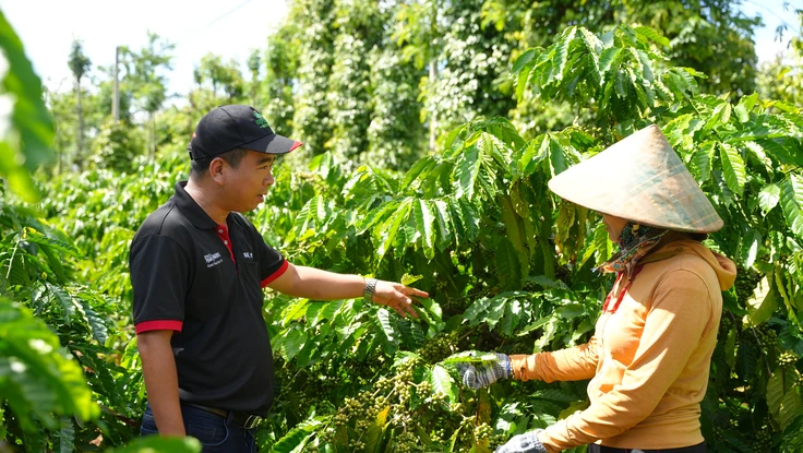 Nestlé Việt Nam hợp tác đa bên hiện thực hóa phát triển bền vững