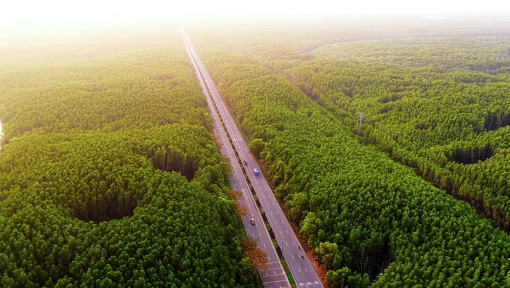 Vịnh Ngọc - Tâm điểm sống ESG++ bên cung đường chạy có 1-0-2 trên thế giới