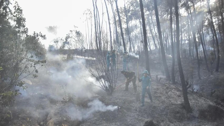 Huế: Cấm đốt vàng mã, thắp hương trong rừng khi nắng nóng