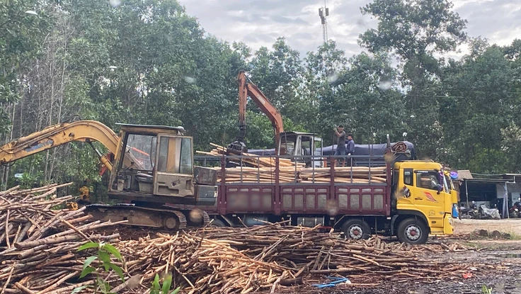 1 xã có 7 trạm cân keo tràm trái phép