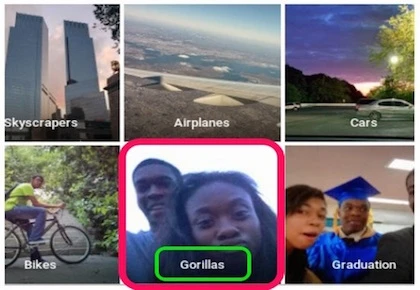 Google Photo nhận nhầm người da màu là khỉ đột