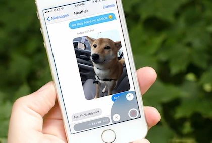 Sửa lỗi không thể gửi và nhận tin nhắn trên iPhone