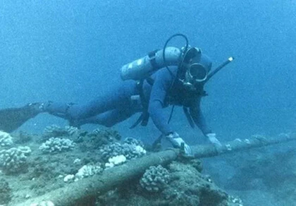 Bảo trì cáp quang biển AAG trong 5 ngày