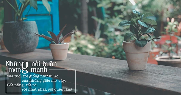 4 ứng dụng không thể thiếu cho các tín đồ sống ảo