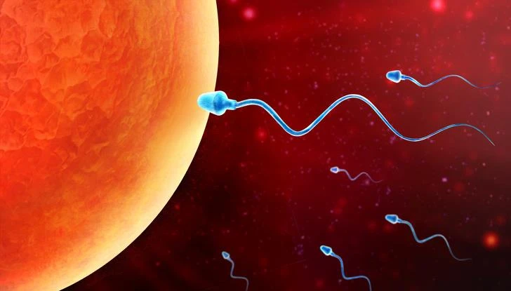 Để điện thoại trong túi quần có thể ảnh hưởng đến tinh trùng?