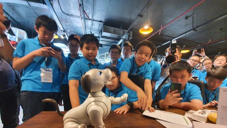 Các 'nhà khoa học nhí' tranh tài sáng tạo với công nghệ MESH