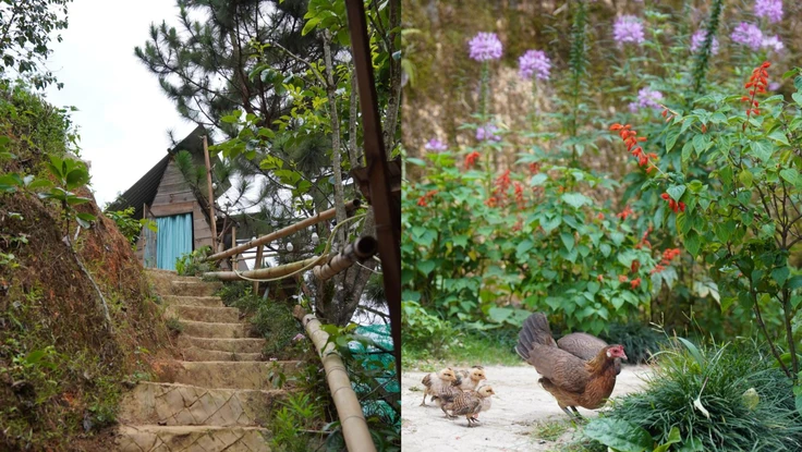 Vì sao người Việt thích đi du lịch theo nhóm thay vì đi một mình? 