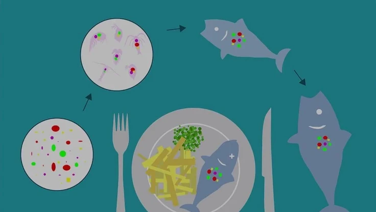 Xuất hiện loại cá robot có khả năng ăn vi nhựa trong nước