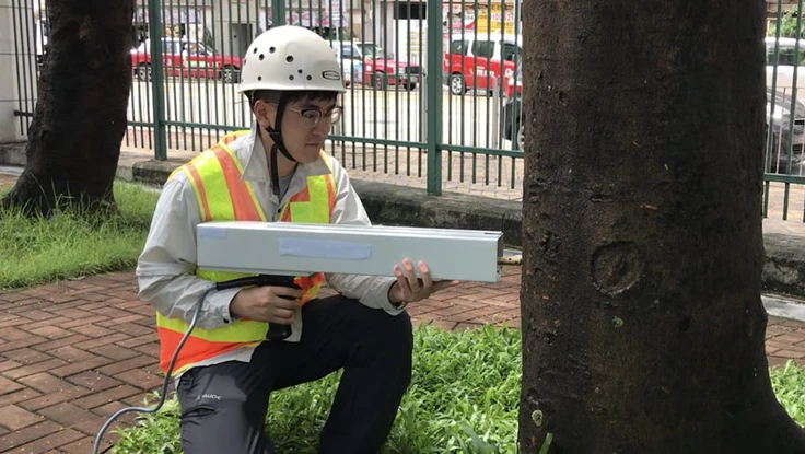 Nước ngoài dùng công nghệ gì để hạn chế gãy đổ cây xanh?