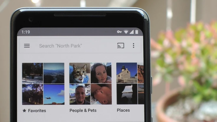 Cần làm gì khi Google xóa hình ảnh trong album lưu trữ?