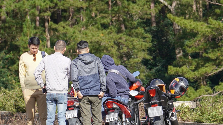 Cách đăng ký biển số định danh online