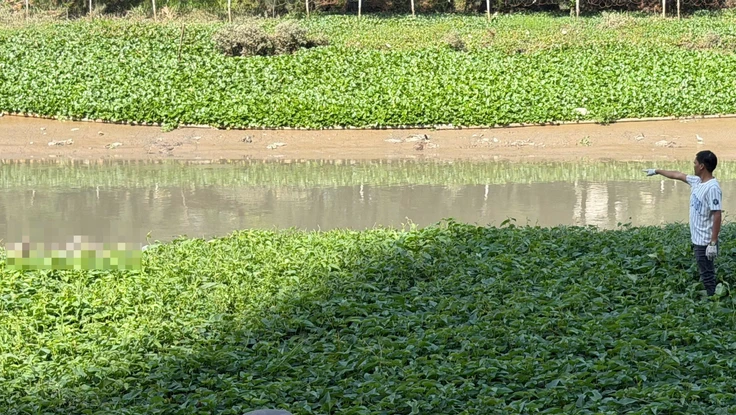 Thi thể nam giới dưới rạch, trên áo có dòng chữ Drik Up The Past