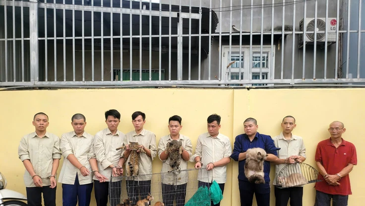 Công an xã Đông Thạnh khởi tố, bắt giam 9 người trộm mèo 