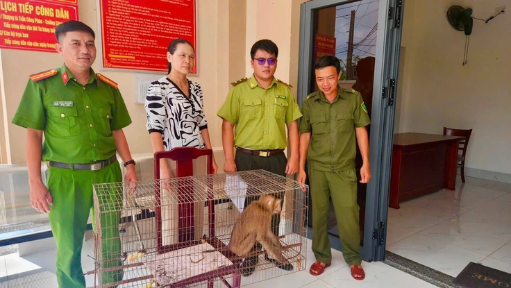 Phát hiện con khỉ đuôi lợn trong vườn, người phụ nữ liền báo công an