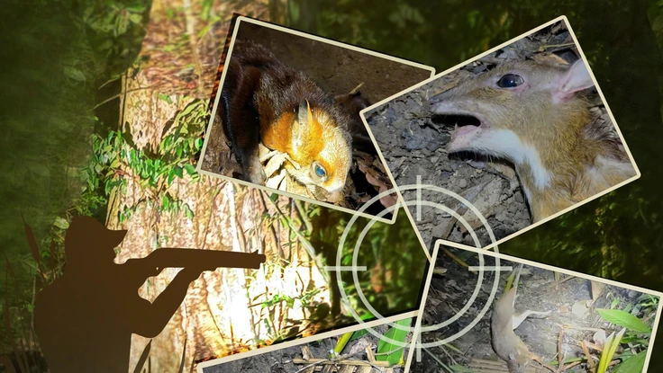 Bảo vệ thú rừng: Nhìn từ… 'nói không với thịt chó'