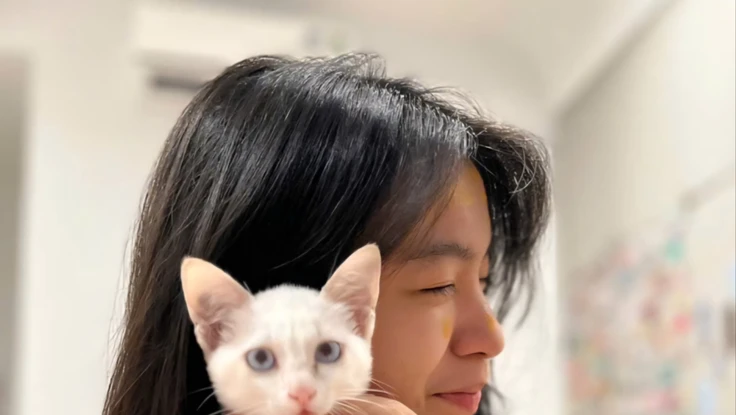 Khoảng trống pháp lý sau những giọt nước mắt của chủ nuôi chó, mèo