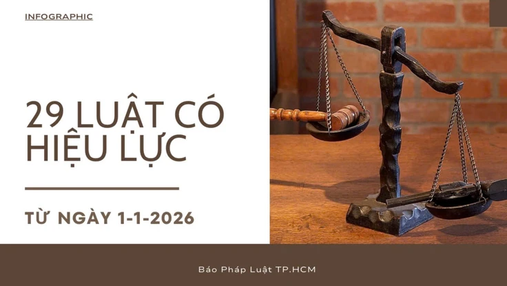 Infographic: Từ 1-1-2026, 29 luật chính thức đi vào cuộc sống