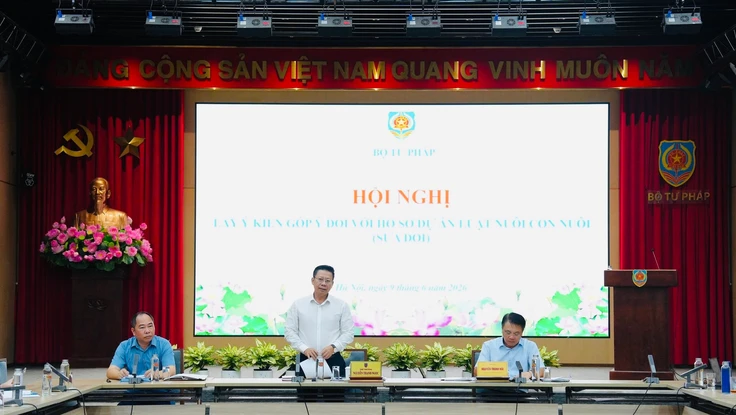 Sửa Luật Nuôi con nuôi: Đề xuất giới hạn tuổi và vai trò của công tác xã hội