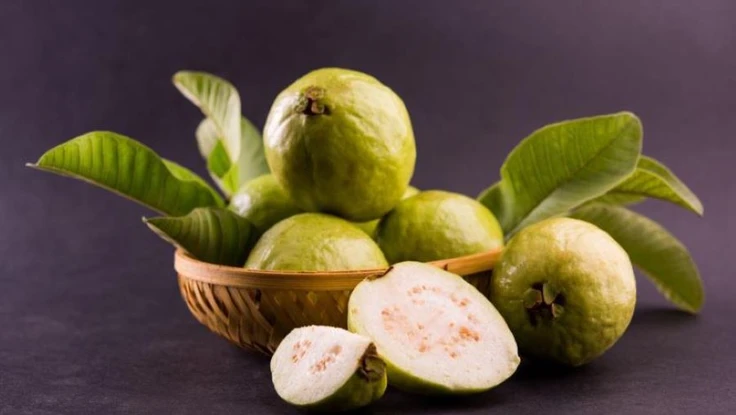 Vì sao quả ổi tại Việt Nam được đánh giá bảo vệ tim mạch tốt?